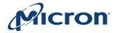 micron